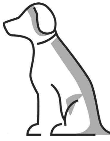 Dog Training Is My Passion!