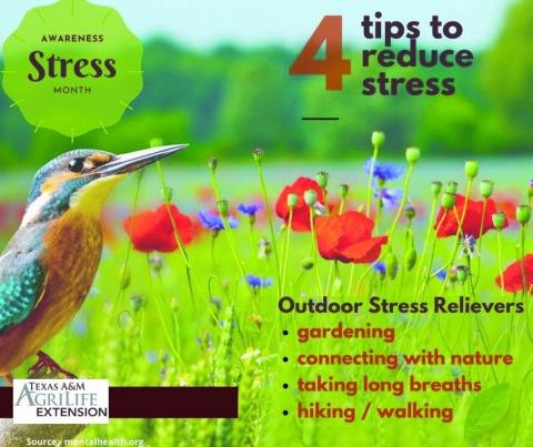 Texas A&M AgriLife Extension observes Stress Awareness Month