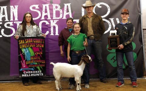 Reserve Grand Champion Breeding Doe - Clara Murray