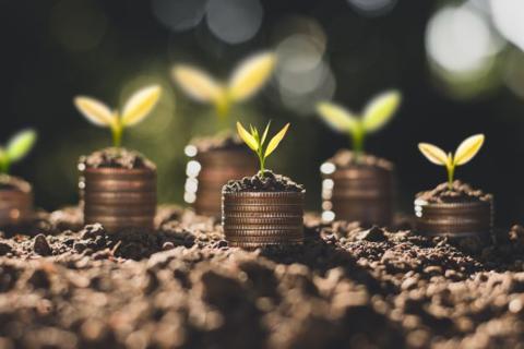 Capital Farm Credit Returns money to members