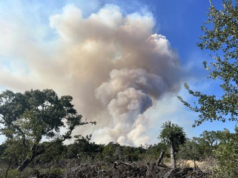 Wildfire
