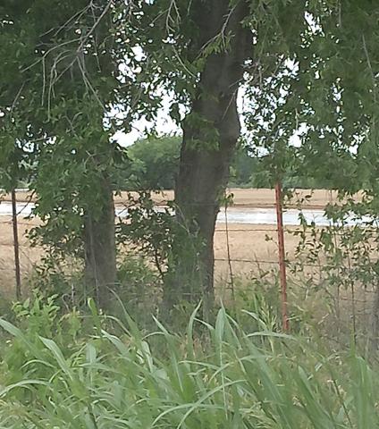 Local flooding - courtesy of Carolyn Boswell Preece