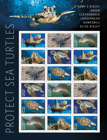 Protect the Sea Turtles - Courtesy of the USPS