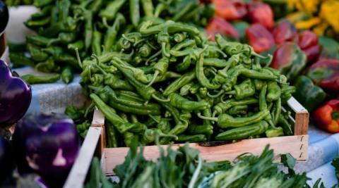 With the latest USDA funding, TDA will focus on five strategic areas: food safety, value-added industry growth, marketing, nutrition, and plant health. These initiatives aim to further expand and strengthen the specialty crop market in Texas, ensuring continued success for our producers. (Photo: laura adai, Unsplash)