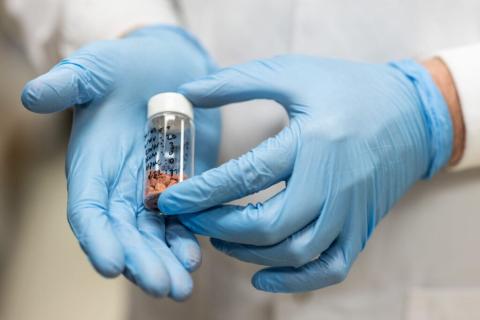 The tablets will be created using 3D-printed technology at Reynolds Medical Sciences Building on the Texas A&M campus in College Station. Texas A&M University Irma Lerma Rangel College of Pharmacy