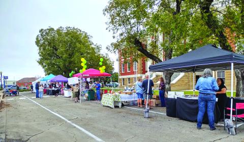 Pecan Trade Days booths - November 2024