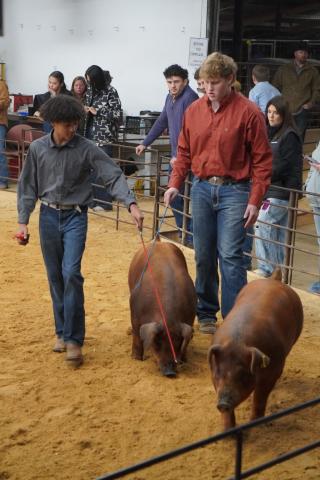 Chris Oakman and Franky Penney at the Stock Show