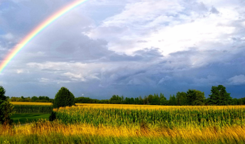 Try These 10 Weird Ways to Be Sustainable