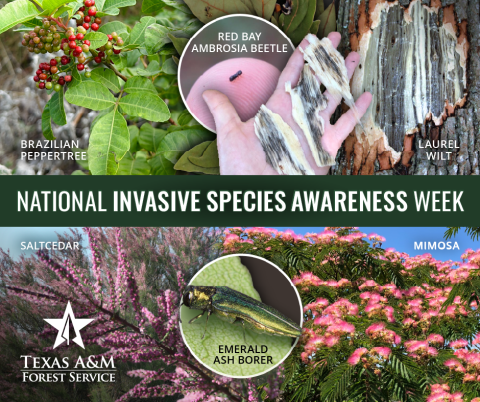 National Invasive Species Awareness Week