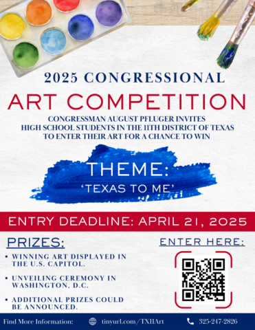 2025 Congressional Art Competition