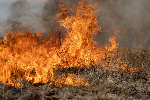 Wildfire Preperation