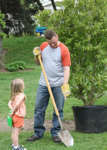 National Arbor Day, celebrated on the last Friday of April, recognizes the important role trees play in our environment. | photo courtesy of MelindaMyers.com