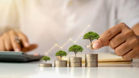 TN Nursery Launches Green Scholarship: 20 Awards Up to $1,000 for Horticulture Students