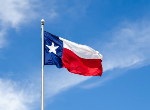 Texas Senate News