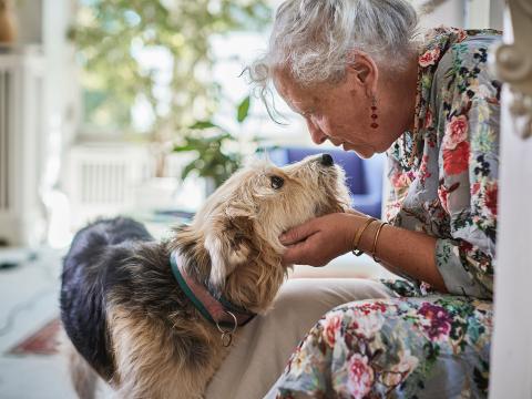 Older adults can benefit greatly from pet ownership, as long as certain considerations are made to ensure proper animal care. 