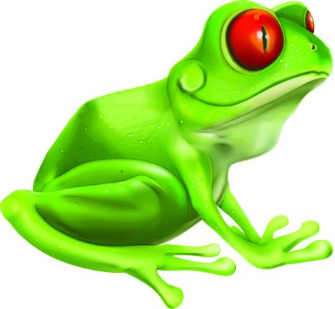 My Frog Drawing