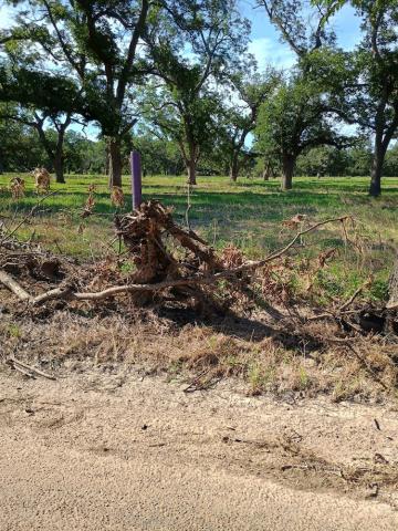 Mangled Fence out at Brister's lease land, Mike Millican's place | photo by Djuana Payton