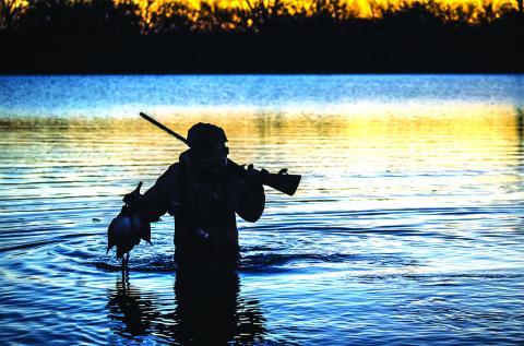 TPWD Biologists predict favorable season for Waterfowl Hunters