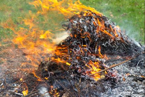 Quemar al aire libre: Lo que debe de saber antes de encender el fósforo