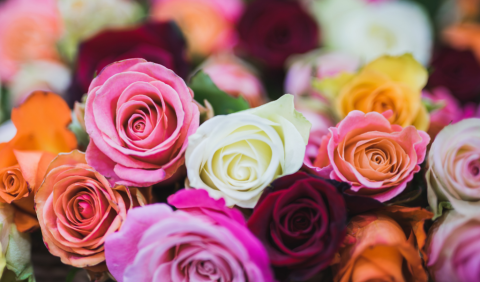 Don't Toss Those Roses! Get Creative!