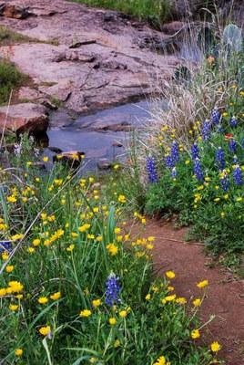 Texas Parks & Wildlife Department