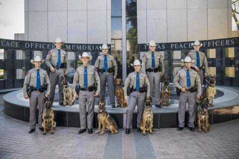2026-045 K9 Group