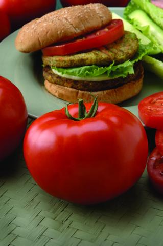 Big Beef tomato has remained one of the most popular red tomatoes in North America with its 8-to-12-ounce fruit. Courtesy of All-America Selections