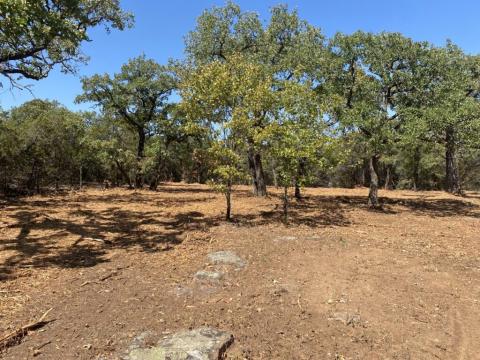 After mulching treatment