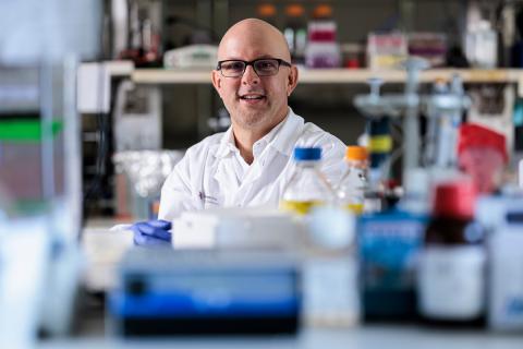 Dr. Michael Golding and his research team are uncovering how a father’s drinking habits before conception can influence offspring health and development, potentially paving the way for earlier detection and intervention for fetal alcohol spectrum disorders.  Credit: Abbey Toronjo/Texas A&M University Division of Marketing and Communications