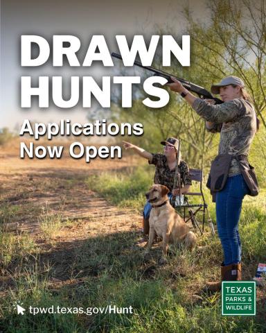 TPWD Accepting Drawn Hunt Permit Applications for 2026-27 Season