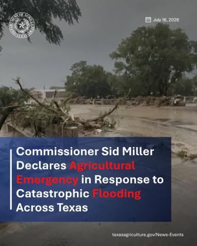 Commissioner Sid Miller Declares Agricultural Emergency in Response to Catastrophic Flooding Across Texas