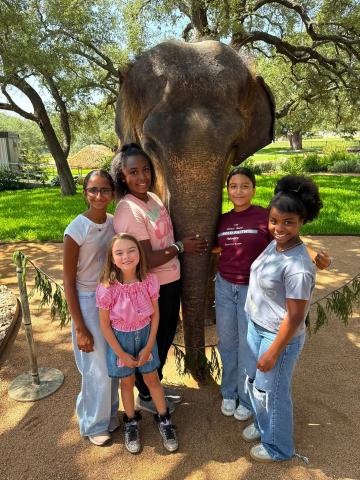 Anika, Analyn, Summer, Trulee, Ariana