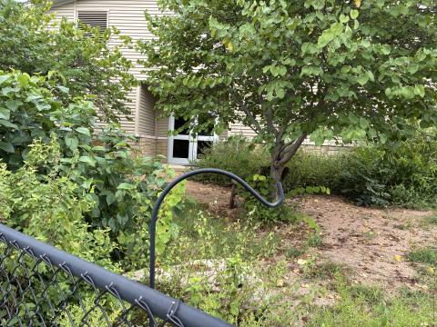 This is Day 1 - before the transformation began. See page 2 for the after photo. Courtesy of Debbie Shahan