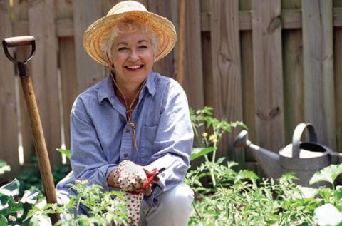 Gardening offers more than a day in the sun