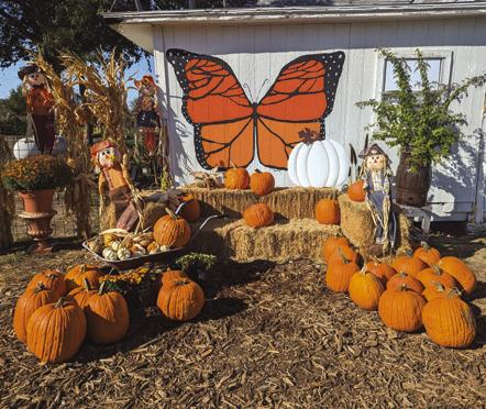 One of the "fall photos ops" waiting on you in Richland Springs!