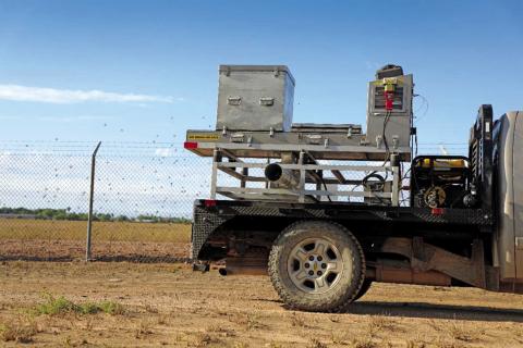 The release of sterile male New World screwworm flies is a proven strategy to reduce and eventually eliminate New World screwworm populations in an infested area.