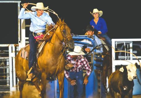 Alt Text for Image