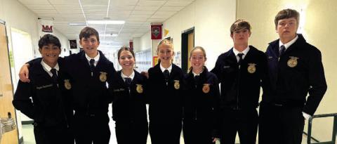 RS FFA advances to Area