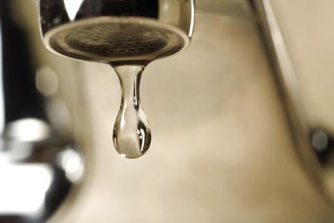 A Call To Save Water: efforts needed from homeowners, irrigators