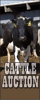 Jordan Cattle Auction