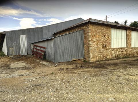 Update on efforts for new Livestock Show Barn