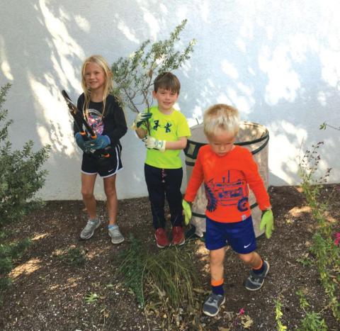 Shahan grandchildren are Stella, Hayes, and Nolan Shahan.