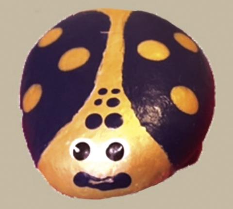 Howard, My Pet Rock ~ In Howard Payne Colors Courtesy rock-painting artist Walter Harris