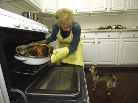 Avoid giving table food to your pets, but for a special Thanksgiving treat, you can give some bites of turkey with the skin removed and no gravy, plain green beans or a bite of bread. Getty Images