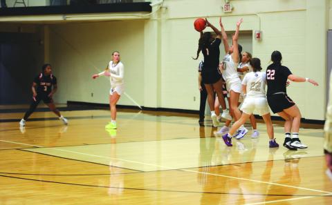 Great season ends for San Saba Lady Dillos basketball