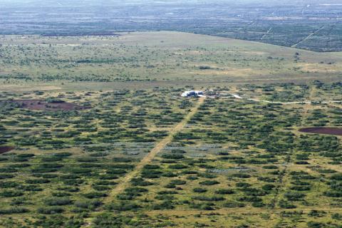 This is an aerial view from a helicopter that shows habitat management/wildlife management usage in the foreground and brush removal for livestock management in the background. Courtesy of Macy Ledbetter www.SpringCreekOutdoors.com
