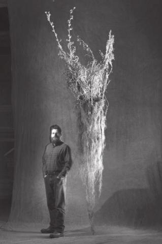 “A photo of a demonstration where different prairie grasses were planted in a VERY tall container. And after some growth period, the container was opened, and the dirt washed off to show this mass of roots.”
