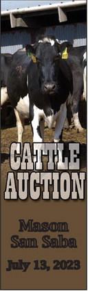Cattle Action