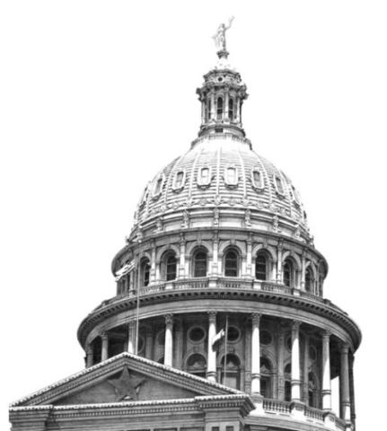 Alt Text for Image