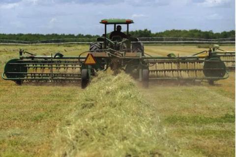 Ranchers and forage producers had a much better hay season than the previous two years. Cool-season forage outlooks aren’t so clear, but Texas’ supply of hay bales is in good shape going into winter. Courtesy of Michael Miller and Laura McKenzie/Texas A&amp;M AgriLife